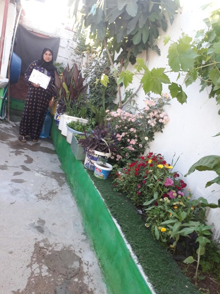 2019 Lemon Tree Trust garden competitions - Domiz 1 camp runner-up - Aisha Ahmad's garden