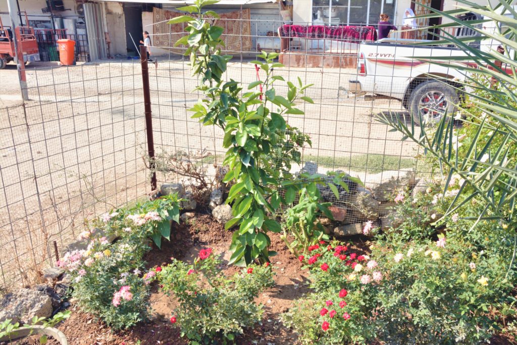 Muhammed Hssen and Zainab Abdullah's home garden