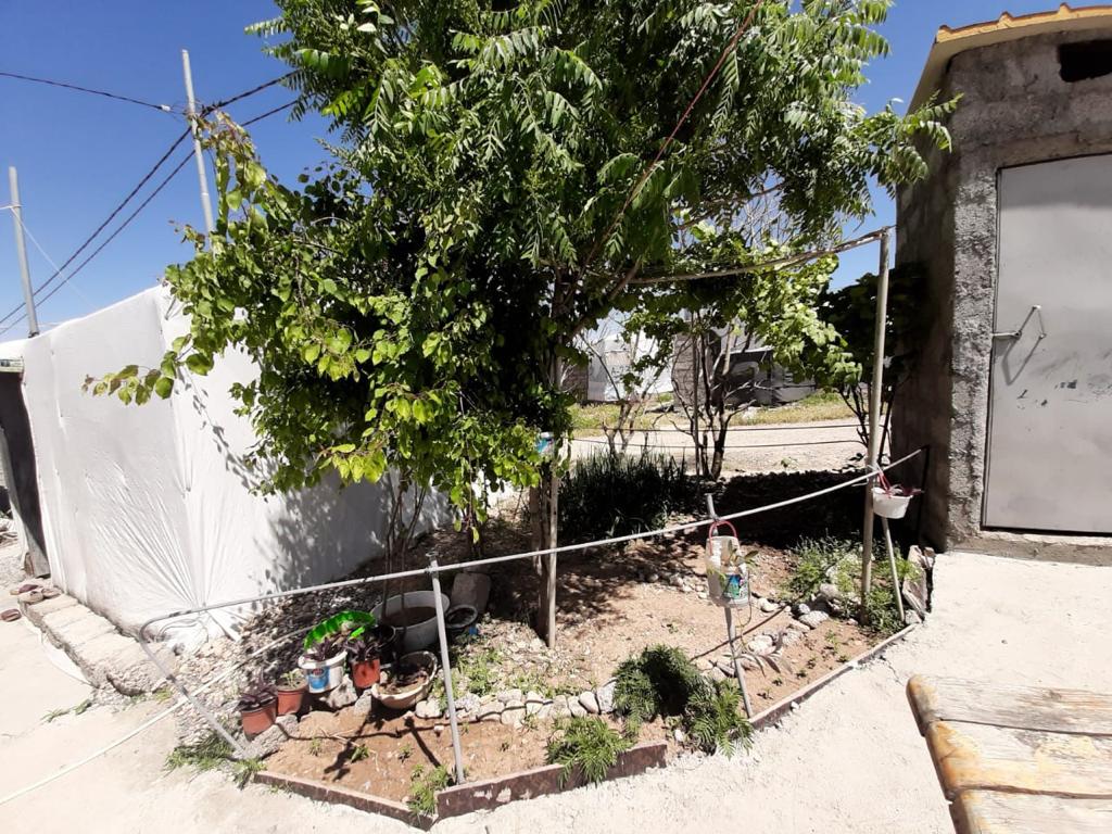 Hajar Eido Khadida's home garden, Khanki camp, Kurdistan Region of Iraq