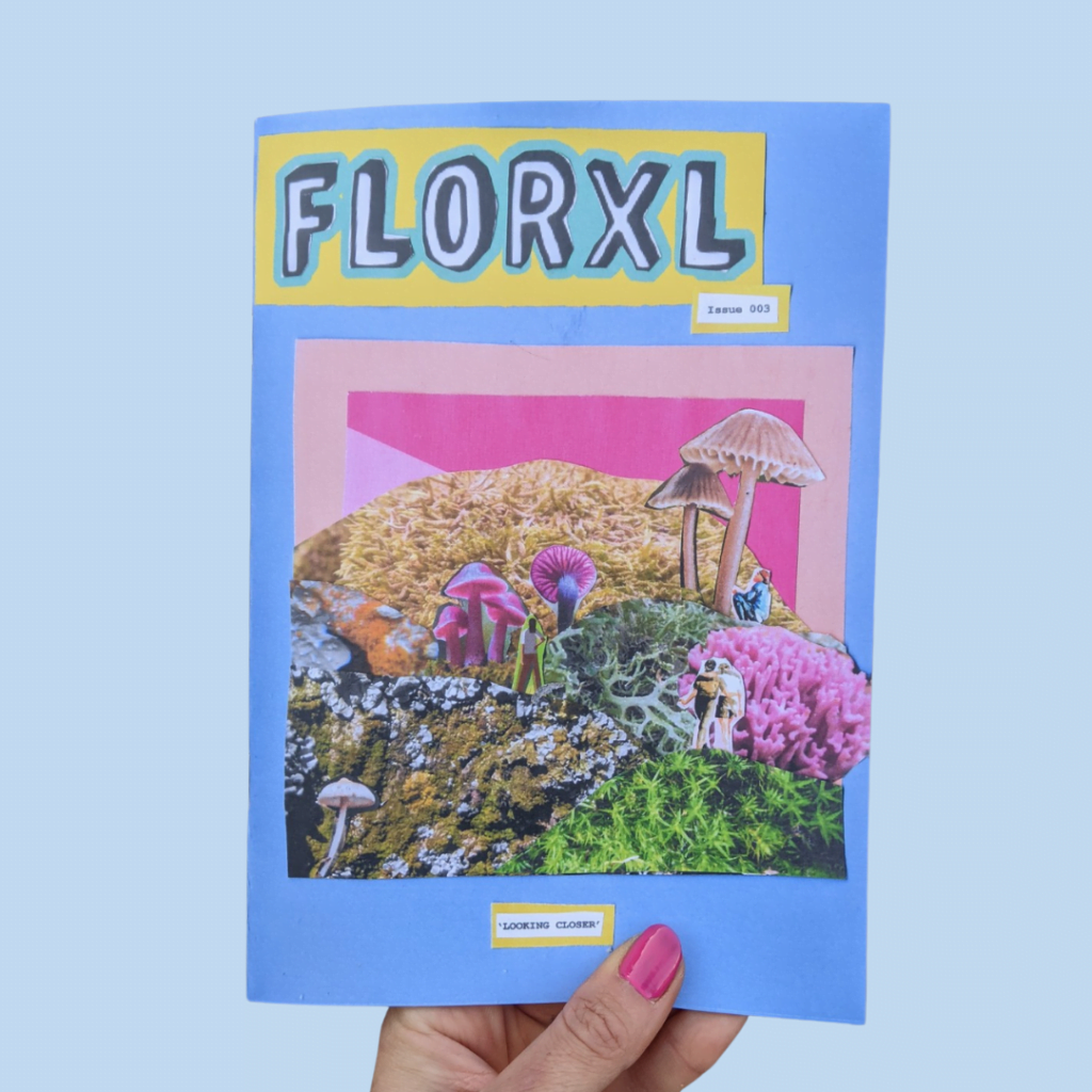 This image has an empty alt attribute; its file name is Florxlzine-Issue-003-Looking-Closer-1-1024x1024.png